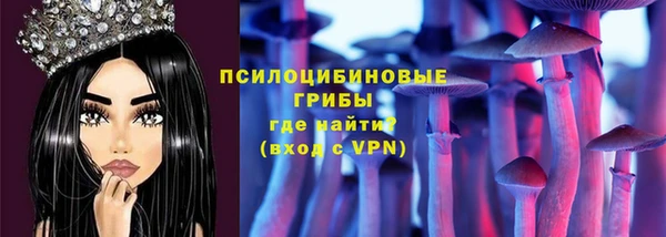 2c-b Алзамай
