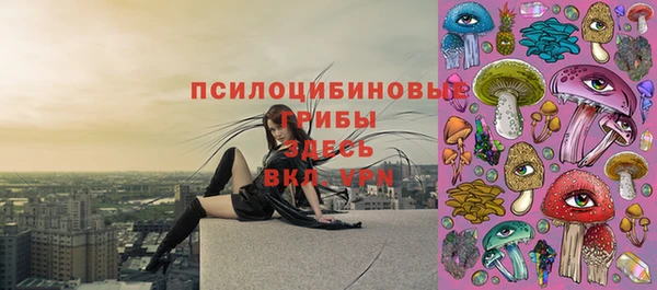 2c-b Алзамай