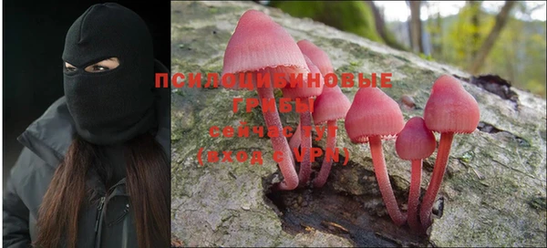 2c-b Алзамай