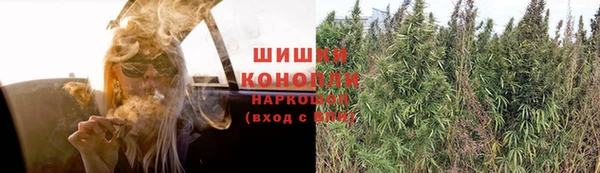 2c-b Алзамай