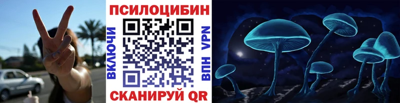 Галлюциногенные грибы Psilocybe  Чистополь 