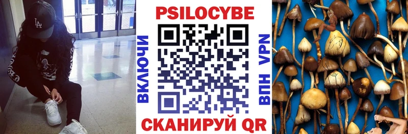 Псилоцибиновые грибы Cubensis Чистополь