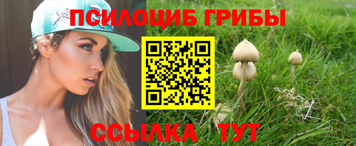 Галлюциногенные грибы Magic Shrooms Чистополь